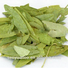 high quality senna leaf extract